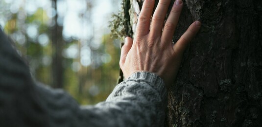 Hand and tree