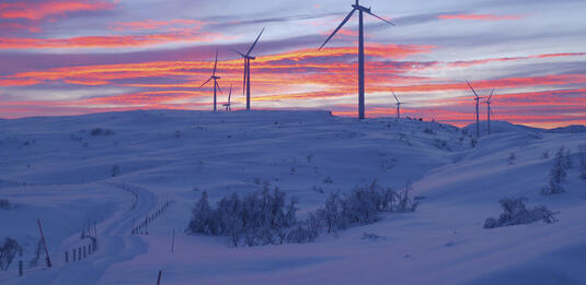 Wind farm in sunset producing wind power